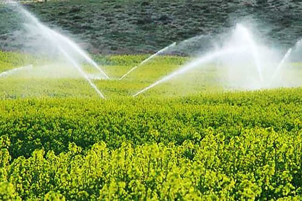تجهیز اراضی کشاورزی استان تهران به سیستم آبیاری تحت فشار