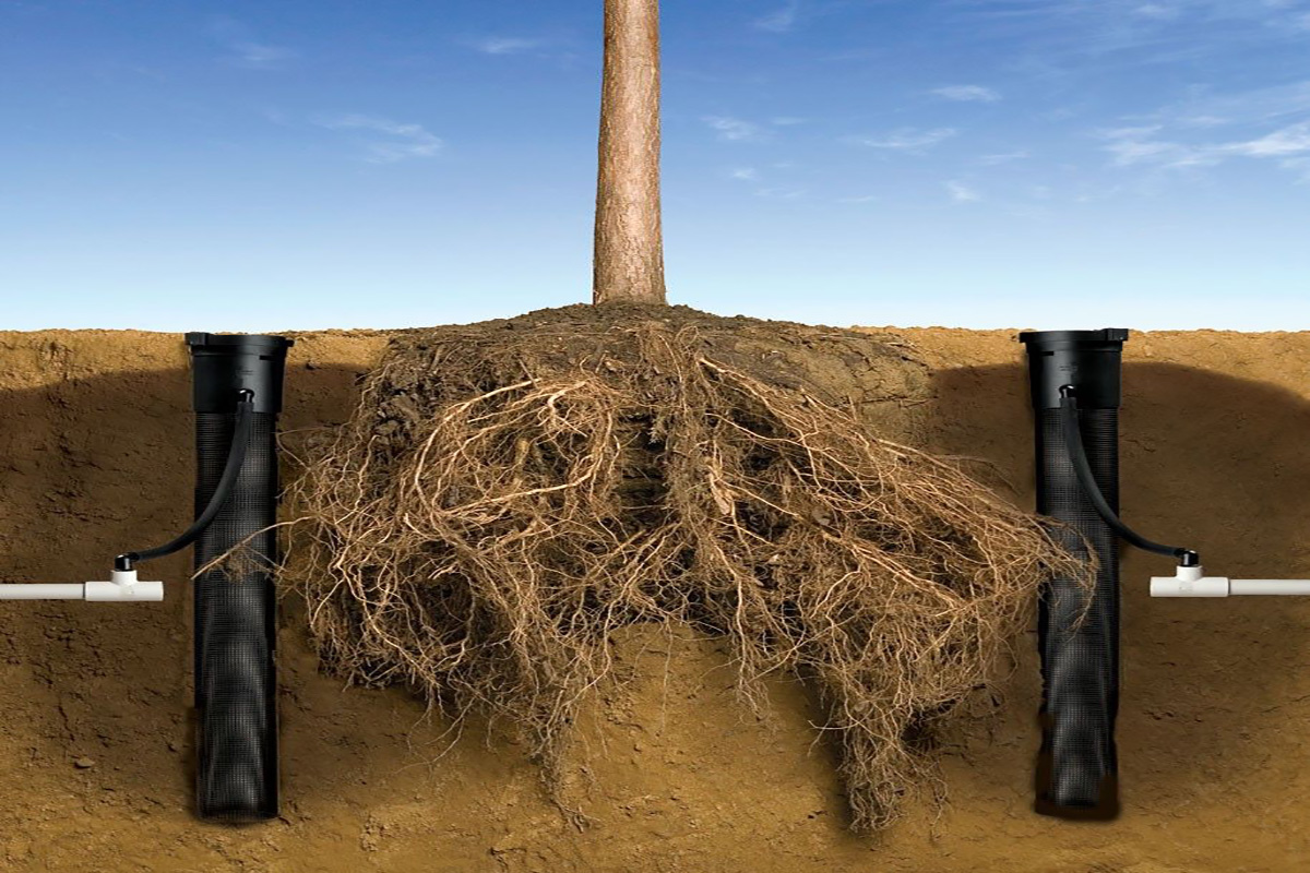 آبیاری زیر سطحی باغ میوه
