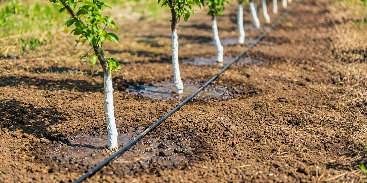 سیستم آبیاری قطره‌ای ۲